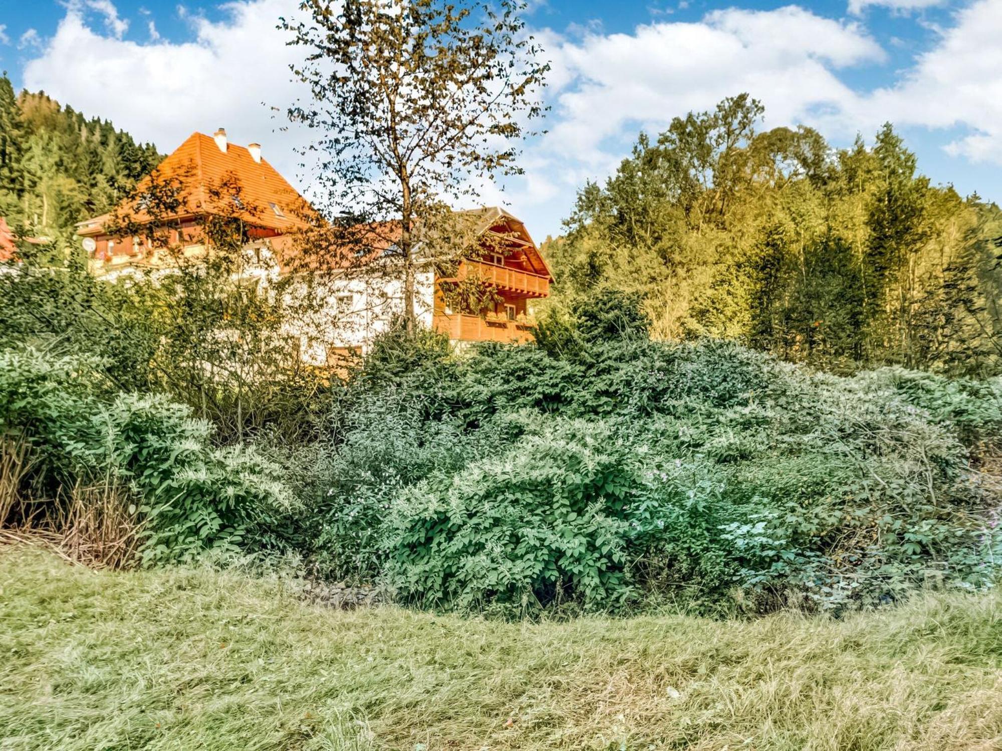 Apartment Thuringian Forest With Balcony Gießübel Eksteriør billede